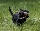 20200809-shl-1326