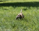 20200809-shl-1338