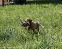 20200809-shl-1341