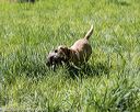 20200809-shl-1344