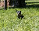 20200809-shl-1385