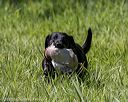 20200809-shl-1428