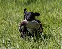 20200809-shl-1429