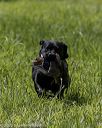 20200809-shl-1469