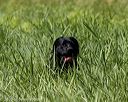 20200809-shl-1476