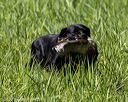20200809-shl-1480