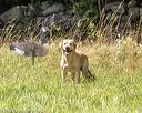 20200809-shl-1527