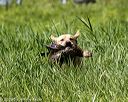 20200809-shl-1536