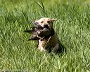 20200809-shl-1540