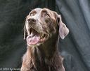 20200809-shl-1561