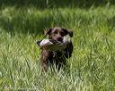 20200809-shl-1604