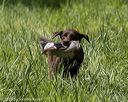 20200809-shl-1612
