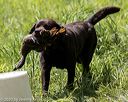 20200809-shl-1635