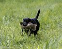 20200809-shl-1688