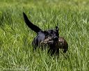 20200809-shl-1727