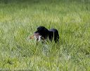 20200809-shl-1740