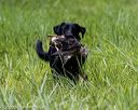 20200809-shl-1769