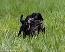 20200809-shl-1771