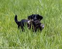 20200809-shl-1774