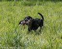 20200809-shl-1798