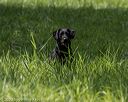 20200809-shl-1826