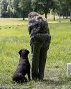 20200809-shl-1834