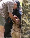 20200809-shl-1898