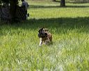 20200809-shl-1901
