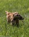 20200809-shl-1921