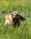 20200809-shl-1924
