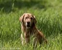 20200809-shl-1931