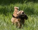 20200809-shl-1937