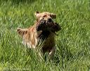 20200809-shl-1942