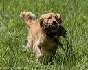 20200809-shl-1945