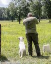 20200809-shl-1950