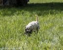 20200809-shl-1954