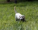 20200809-shl-1959
