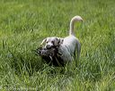 20200809-shl-1961