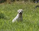 20200809-shl-1984