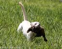 20200809-shl-1996