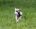 20200809-shl-2036