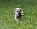 20200809-shl-2039