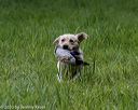 20200809-shl-2041