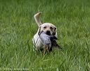 20200809-shl-2044