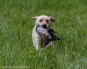 20200809-shl-2046