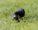 20200809-shl-2062