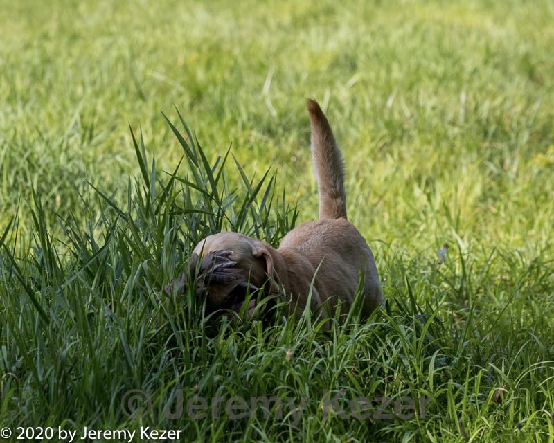 20200809-shl-0016.jpg