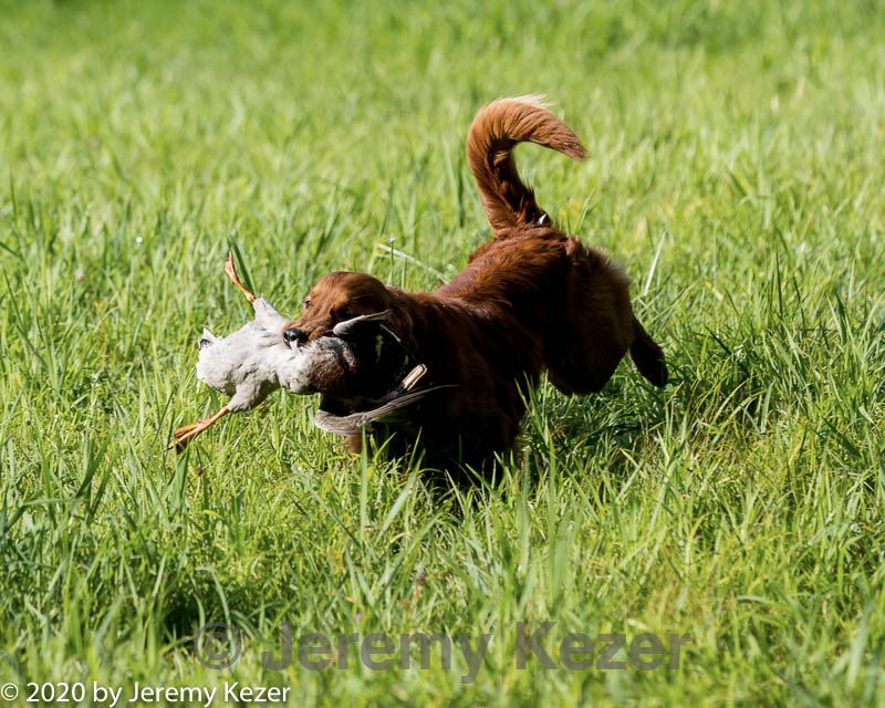 20200809-shl-0069.jpg