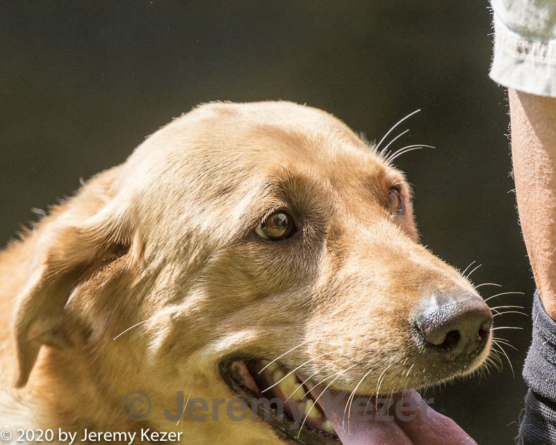 20200809-shl-1333.jpg