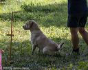 20200809-shw-0003